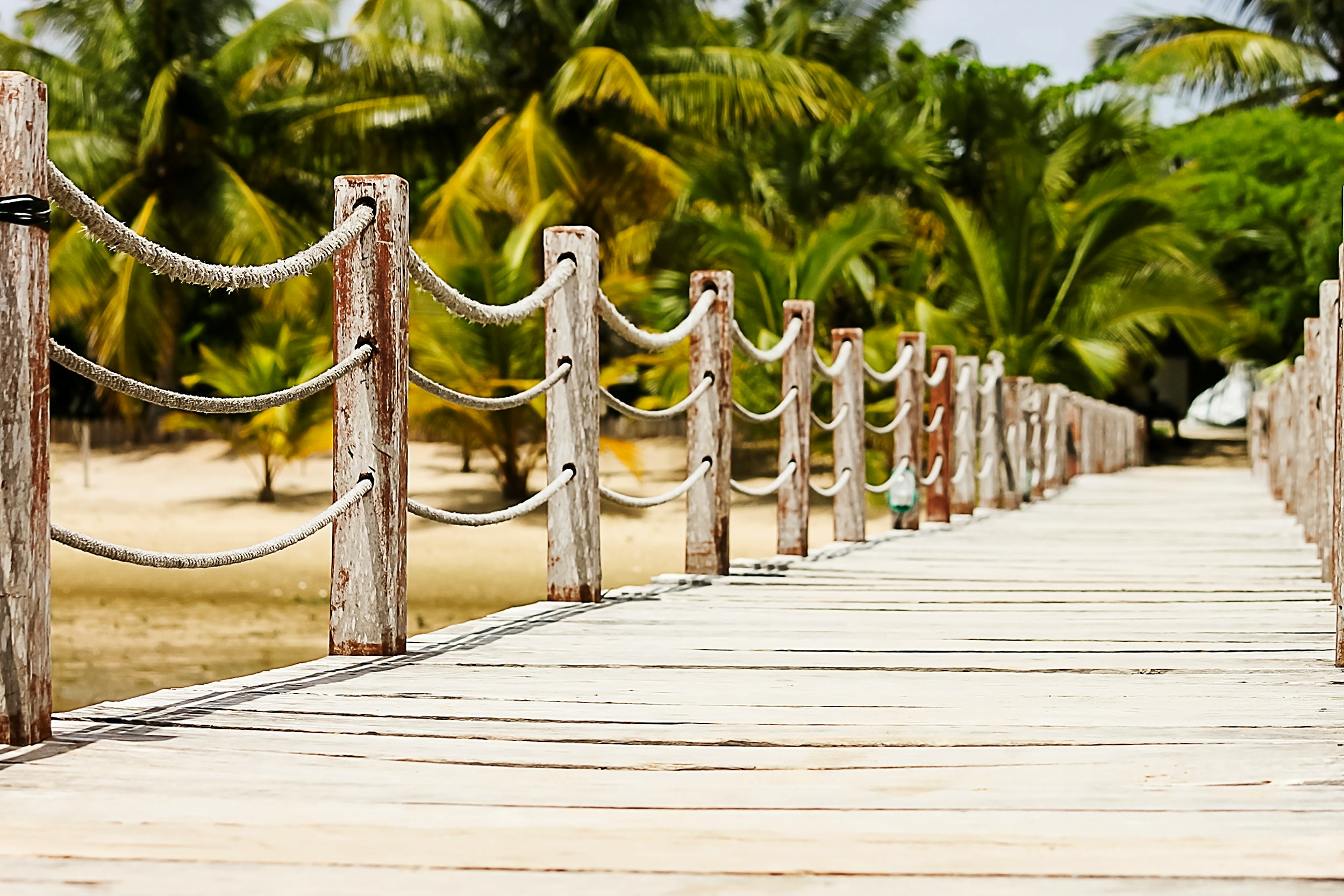 brown dock photography during daytime